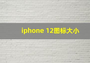 iphone 12图标大小